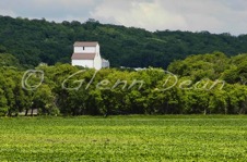 Alexander area
colony/farm
June 2007